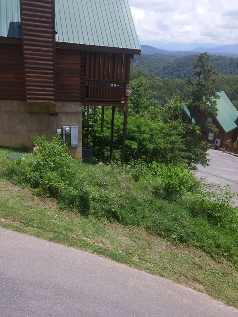 Catch of the Day Cabin