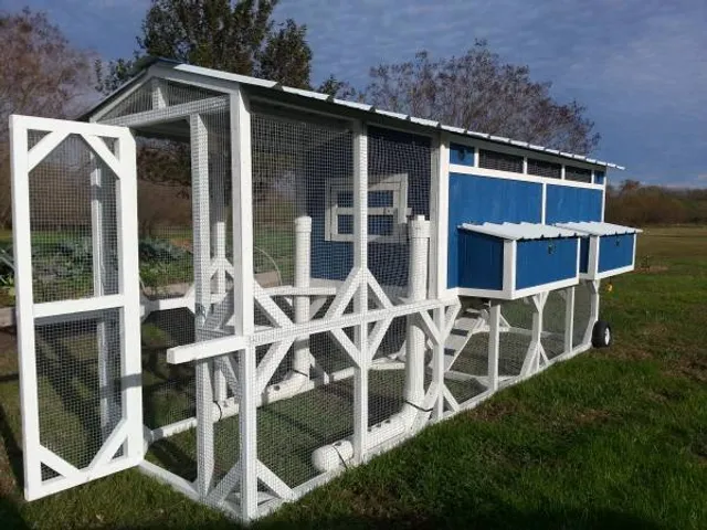 Smoky Mountain Chicken Tractors