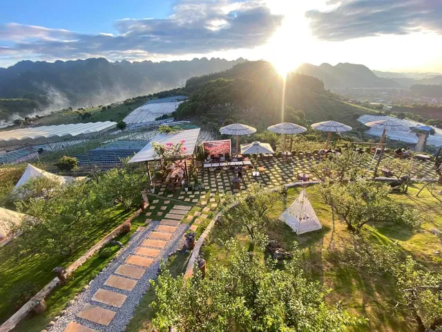 GREEN FARM MỘC CHÂU