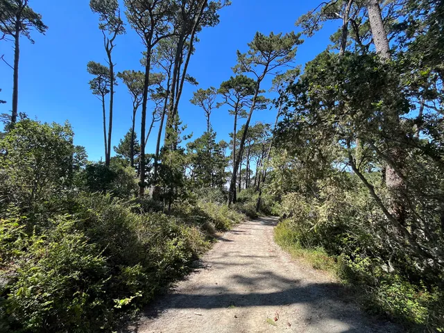 Huckleberry Hill Loop Trailhead