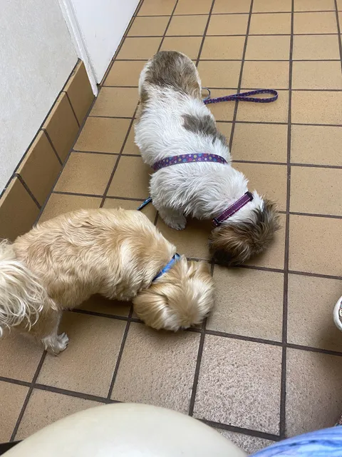 Powers Drive Animal Hospital