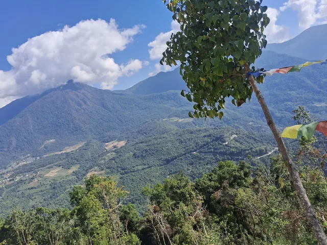 Tshomo Restaurant and Bar