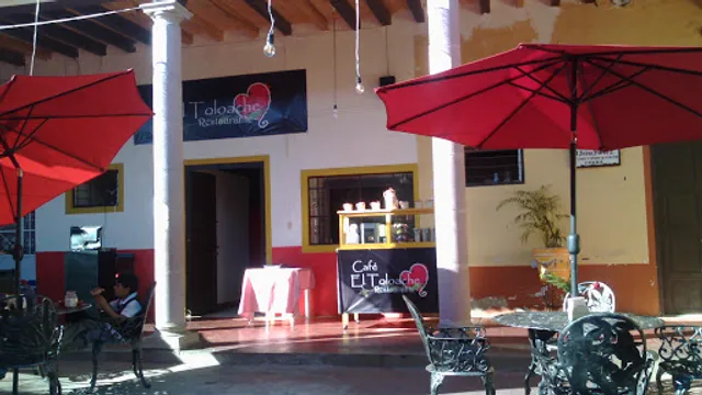 El Toloache