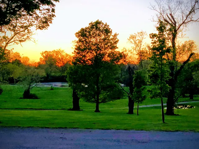 Waldeck Farm & Mansion