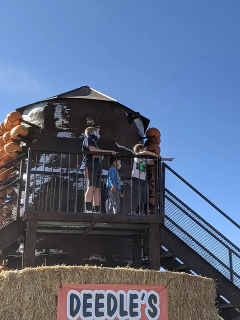 Jaker's Jack-O-Lanterns