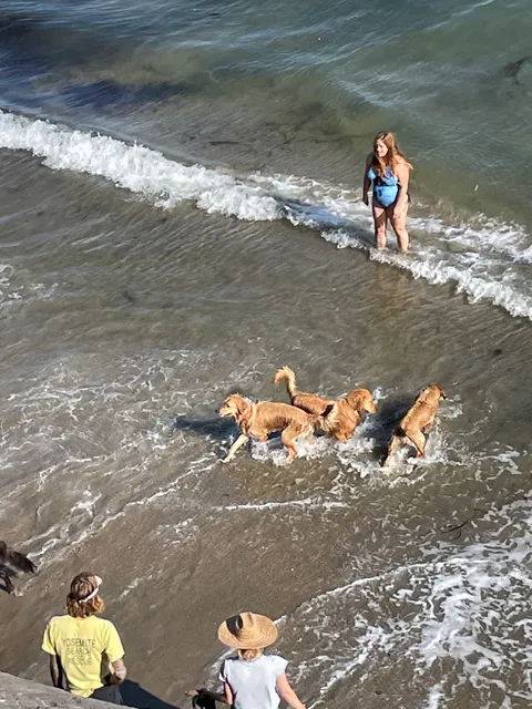 Endless Summer House