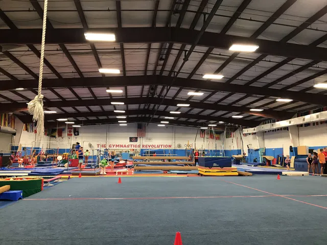 The Gymnastics Revolution