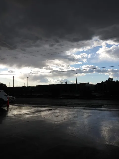 American Meat Companies