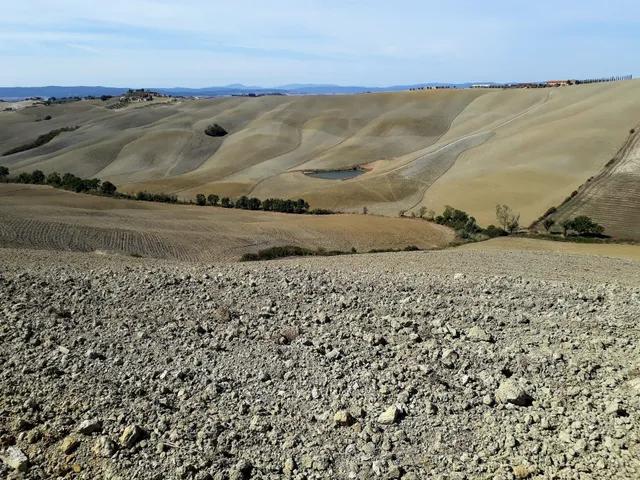 Crete senesi Asciano