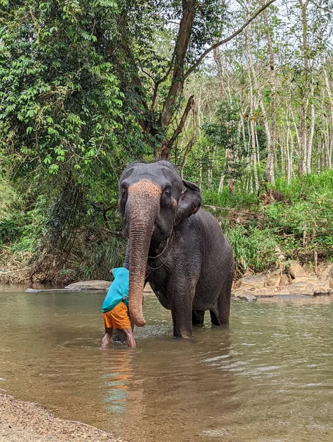 Elephant Care Relief