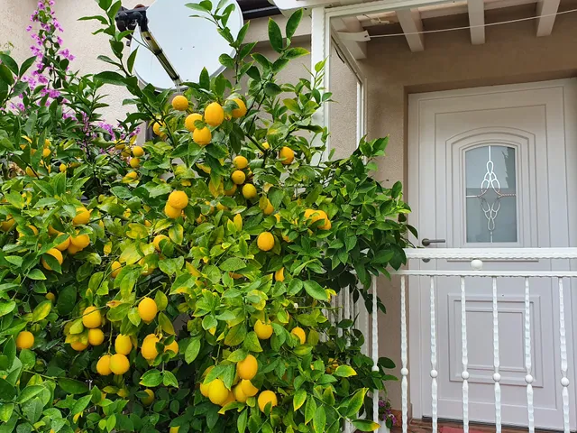 Luxury New Apartment One and Only