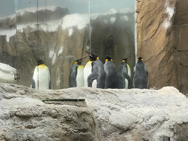 Taipei Zoo Penguin House