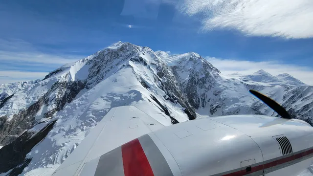 Denali Adventure Tours