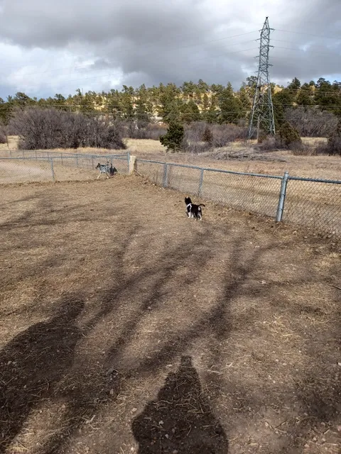 Palmer Park Dog Park