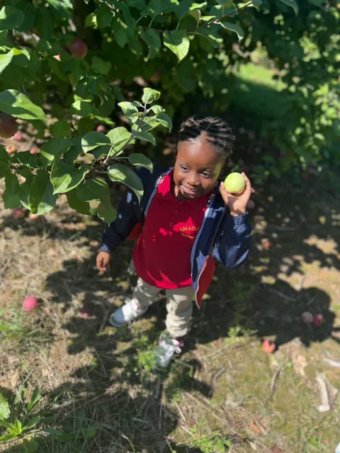 Amazin Kids Paradise Academy LLC