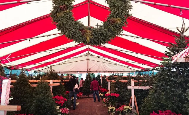 Mr. Jingles Christmas Trees