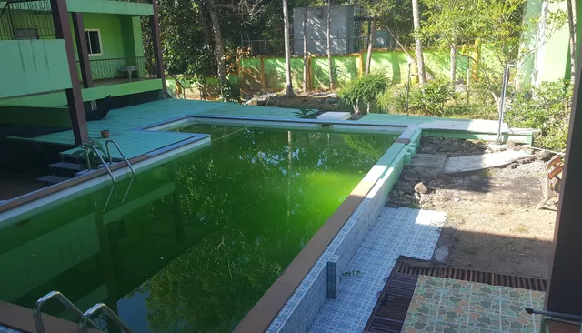 Alysia Springs Resort