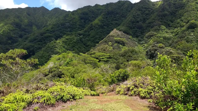 Trailhead for Kolowalu and Puʻu Pia Trails