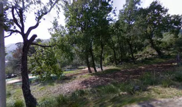 Azienda Agrituristica Palazzone Di Sorrentino Umberto