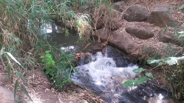 דירת נופש בצפון - בית על הנחל