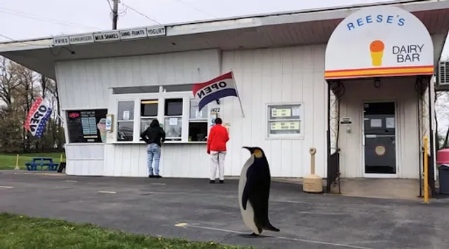 Reese's Dairy Bar