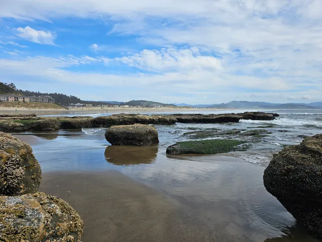 Cape Kiwanda Sand Dune