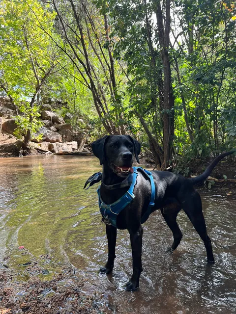 Bear Creek Dog Park Entrance
