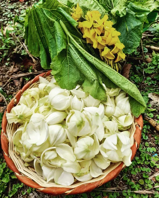 Proyecto Tux Cocina Gourmet de Origen Maya