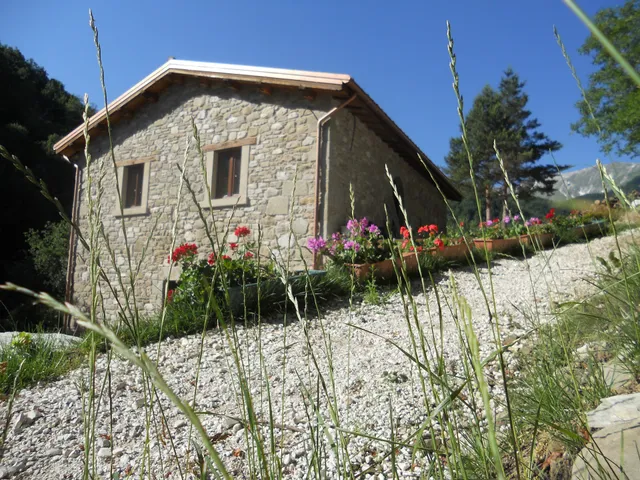 Stella Alpina Bed & Breakfast