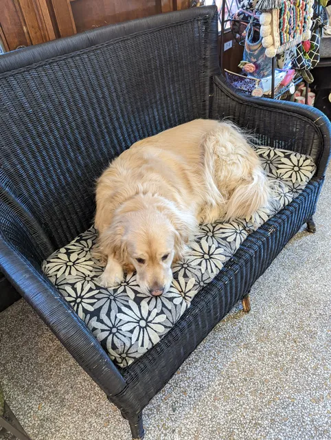 Mod Podge Boutique & Design Studio