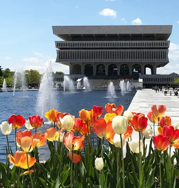 New York State Library