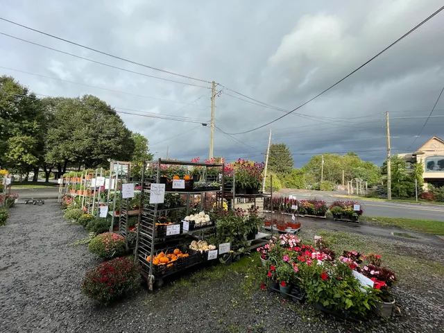 Tom Tobin Jr Wholesale Florist