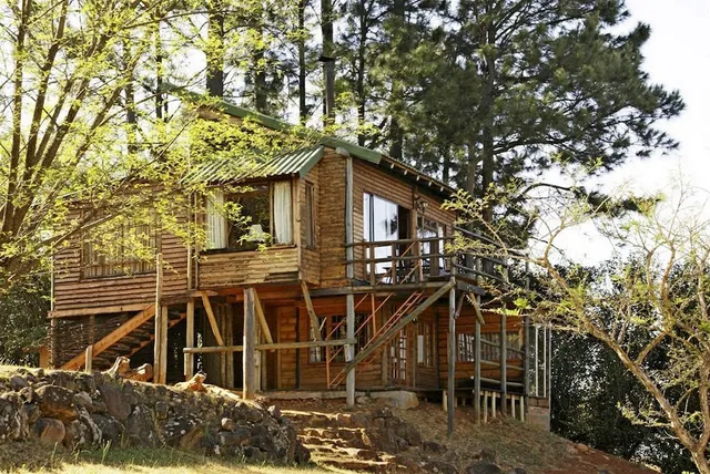 Treks, Trips And Trails