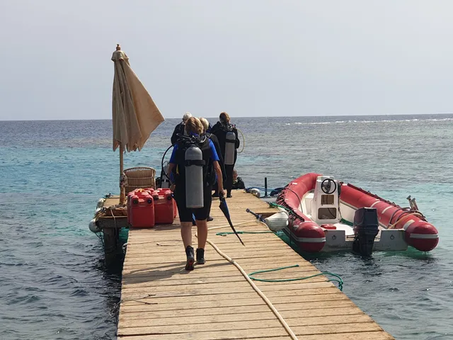 Red Sea Diving Safari