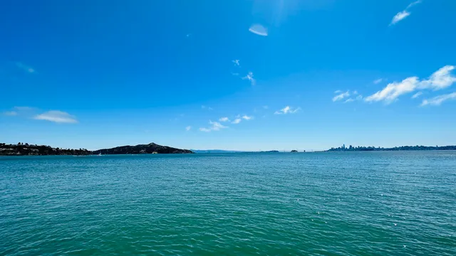 Sausalito Bay Point of View