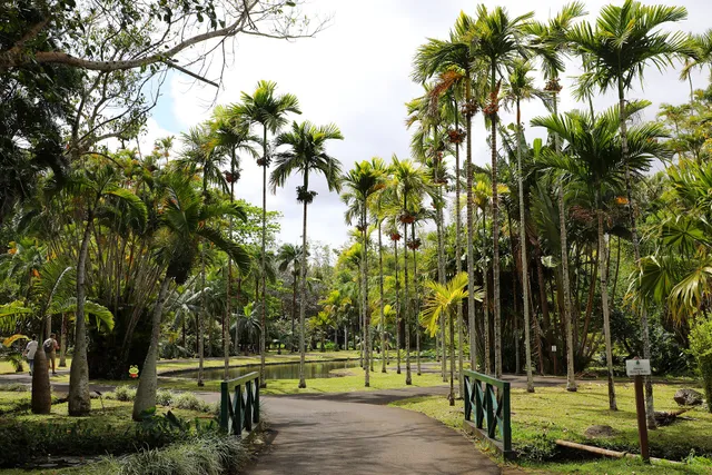 Pamplemousses Garden