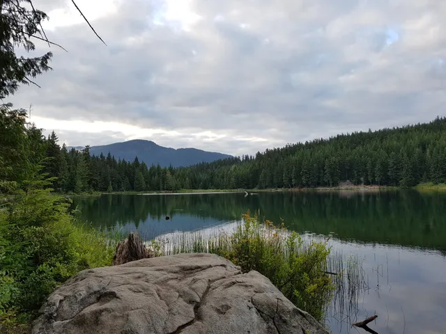 Forest Trails - Whistler Premier