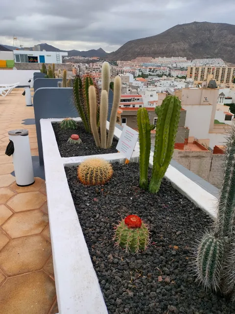 CACTUS 1 Apartments