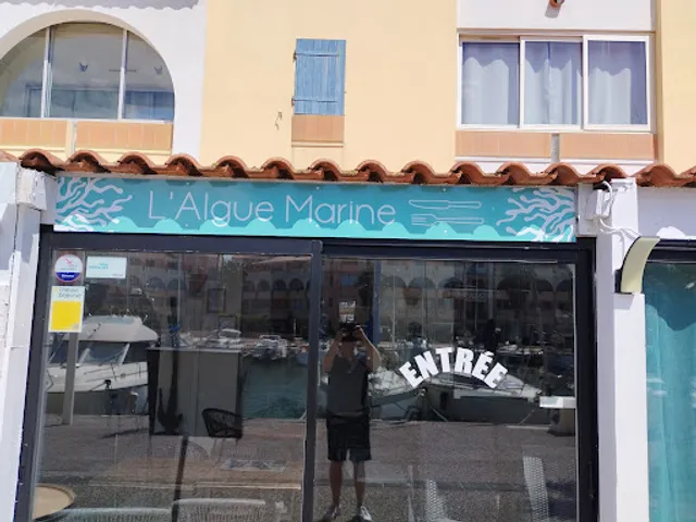 L' ALGUE MARINE