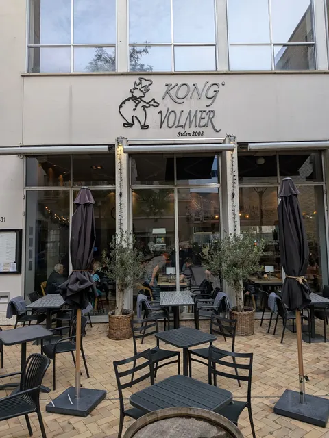 Kong Volmer Odense