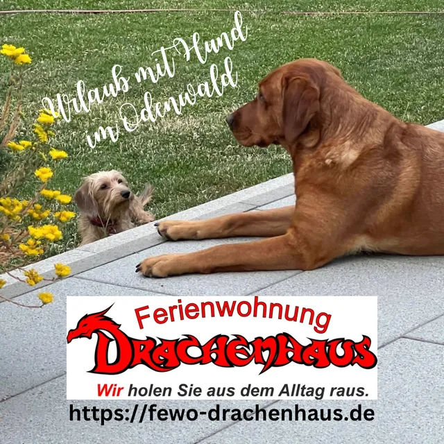 Ferienwohnung Drachenhaus