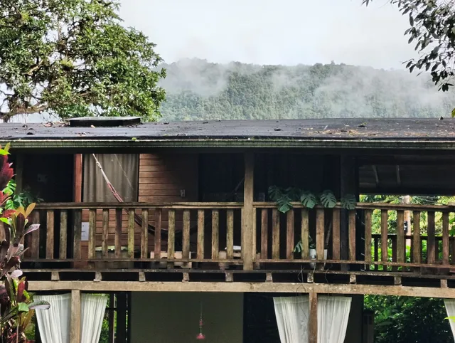 The Temple II, Mindo