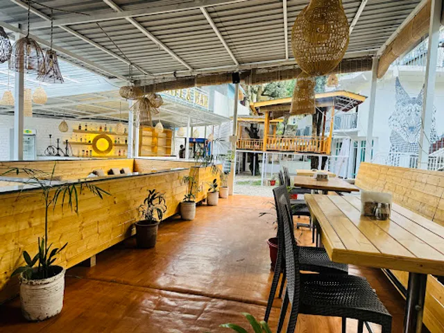 Lamrin’s Cafe & Bar Dharamkot (Best restaurant in Dharamkot)