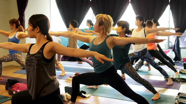 Nirvana Yoga School