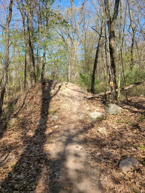 Merrell Trail