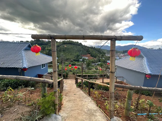 ไร่ชาวิวดอย