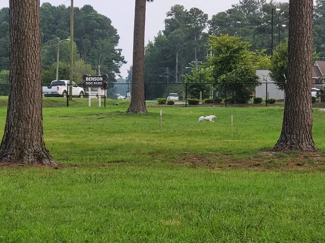 Benson Dog Park
