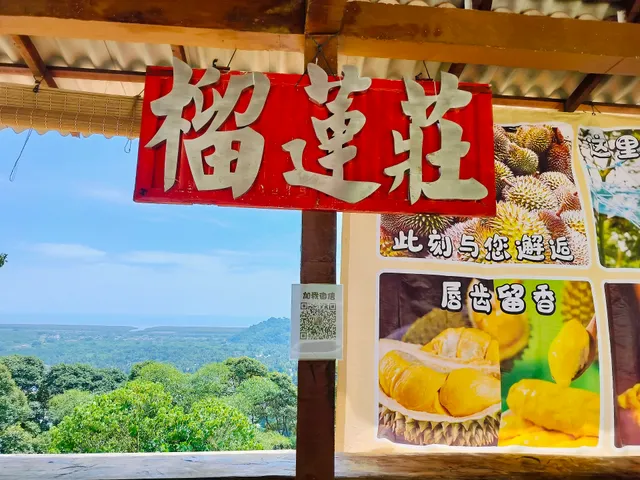 Durian Tree House 榴莲莊