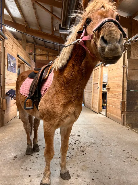 LP Equestrian Center LLC