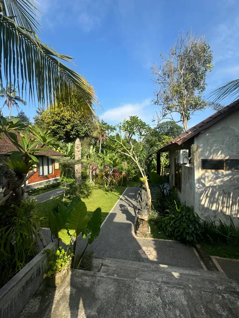 Yasa Backpackers House